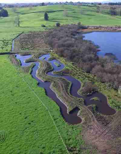 Aerial shot of wetlands